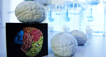 Center for Neuroscience Imaging Research (CNIR)